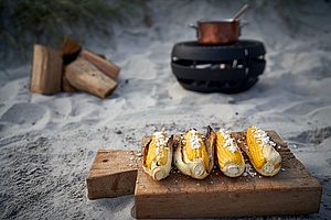 Prepare your dinner with Aduro Fire Ball