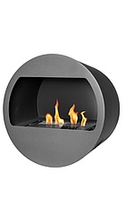 Bio stove with open front